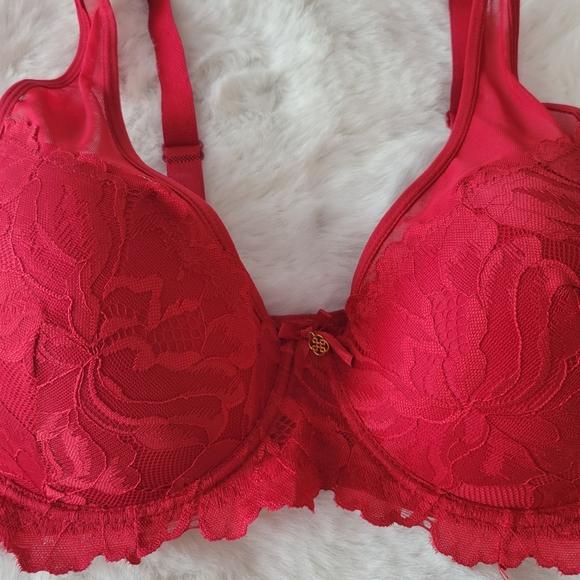 💋DAISY FUENTES BRAND NEW HIGH APEX LACE BRA SIZE 40C - Picture 7 of 11